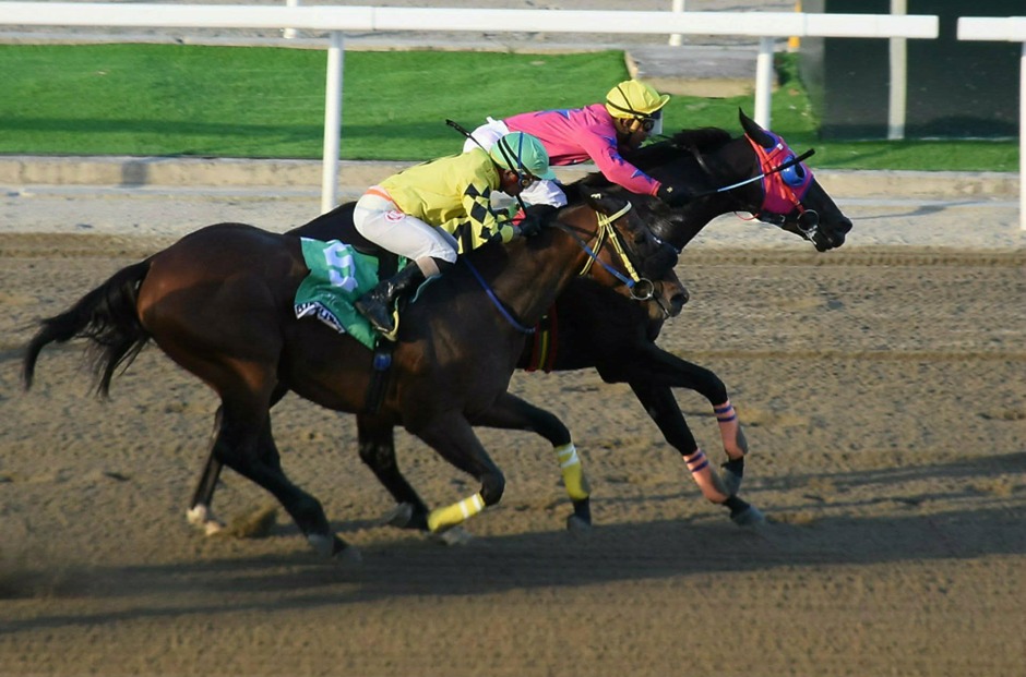 Philippine Racecards 4 January at the Philippine Jockey Club