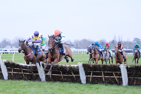 Kempton Park Race Cards 14 January all-weather racecourse under evening lights