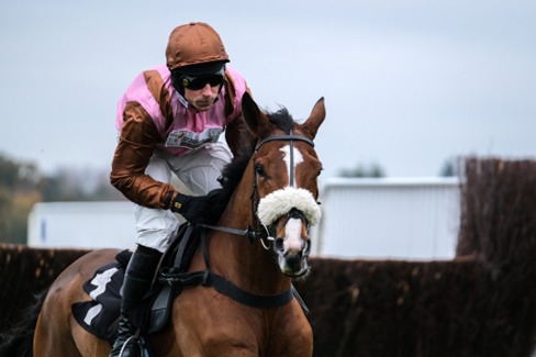 Ascot Race Cards 17 January overview for 17 January 2026