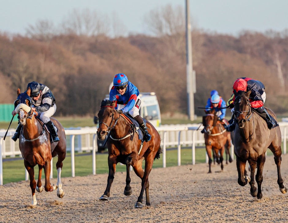 Newcastle Racecards 27 January winter jumps racing at Newcastle Racecourse