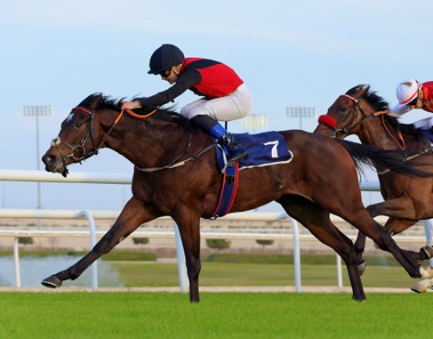 Bahrain Race Cards 29 January evening racing under lights