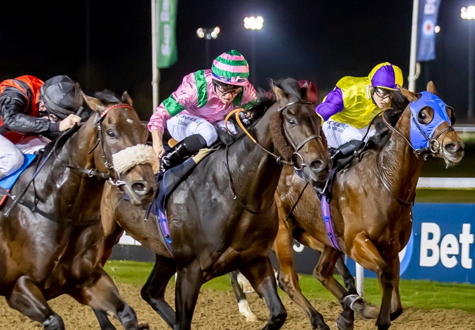 Wolverhampton Racecards 5 January under floodlights featuring Novice Stakes