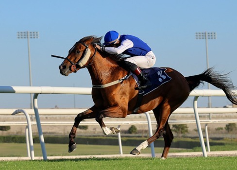 Bahrain Turf Club hosts eight-race meeting on 16 January