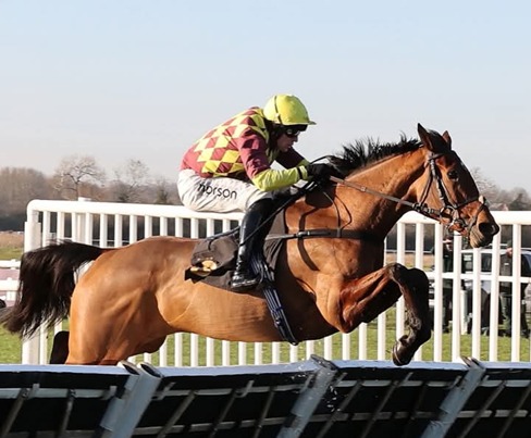 Horses racing at Warwick Race Results 23 January in January