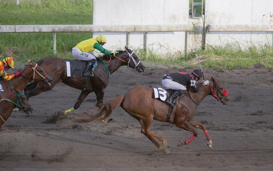 Philippine Racecards 2 January seven-race card at Philippine Jockey Club