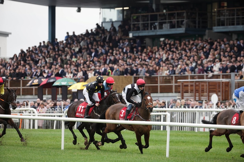 Down Royal Race Results 20 January from Molson Coors Race Day