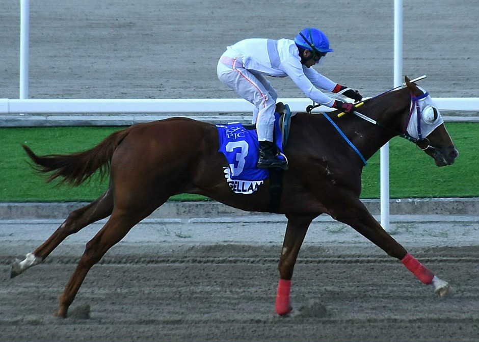 Philippine Racecards 31 January at the Philippine Jockey Club