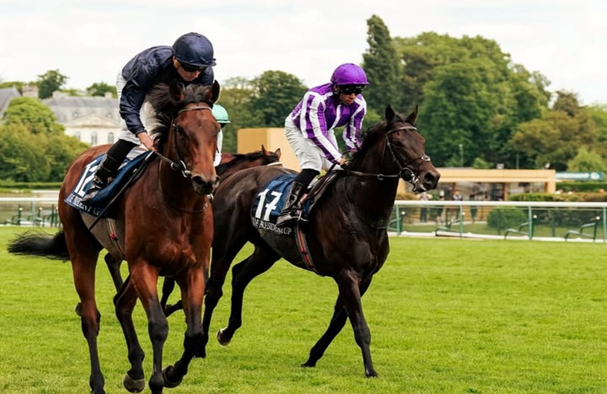 Deauville Race Cards 2 January during an evening all-weather meeting