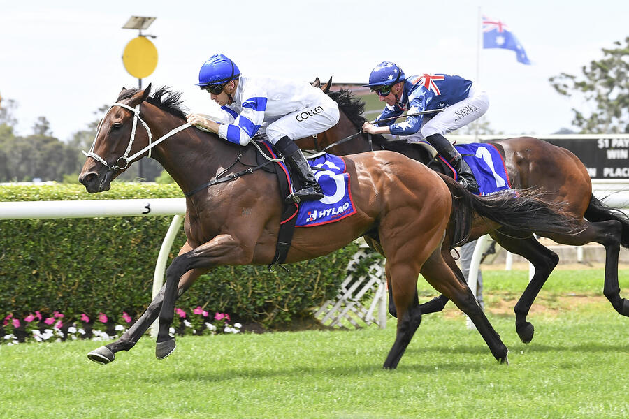 Canterbury Park racecards 16 January Friday night racing under lights