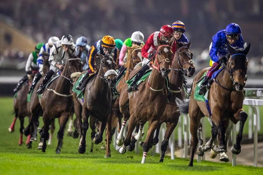 Riyadh racecards 10 January at JCSA under floodlights