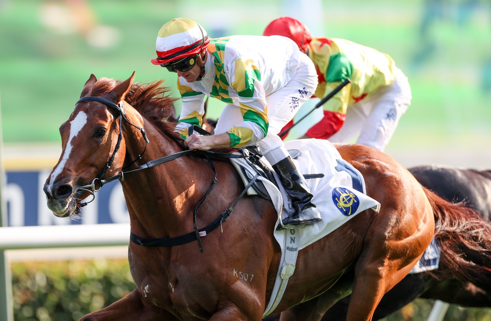 Sagacious Life and Shanwah set for the Hong Kong Classic Mile