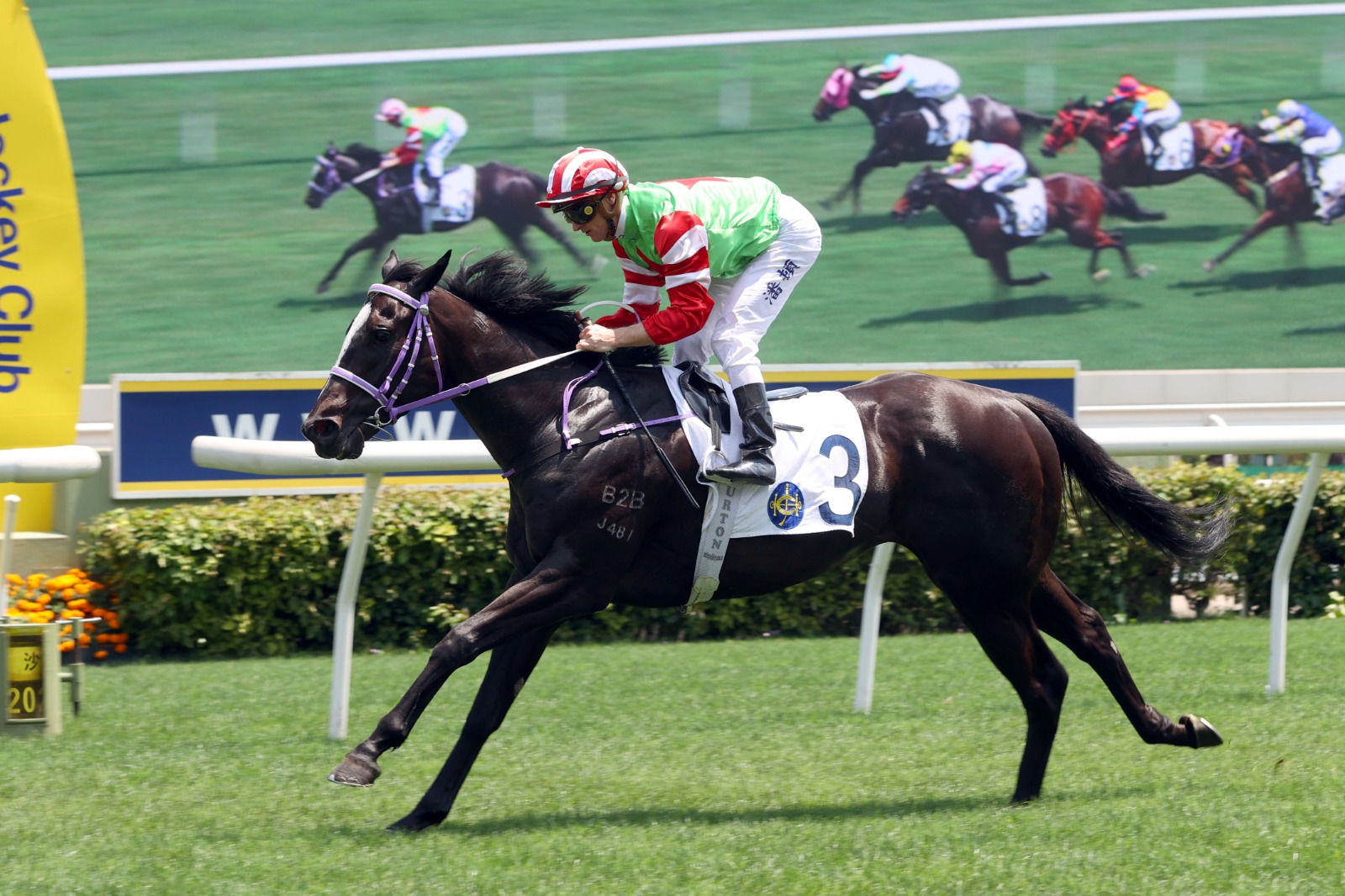 Top Dragon galloping strongly at Sha Tin on the Road to the Derby