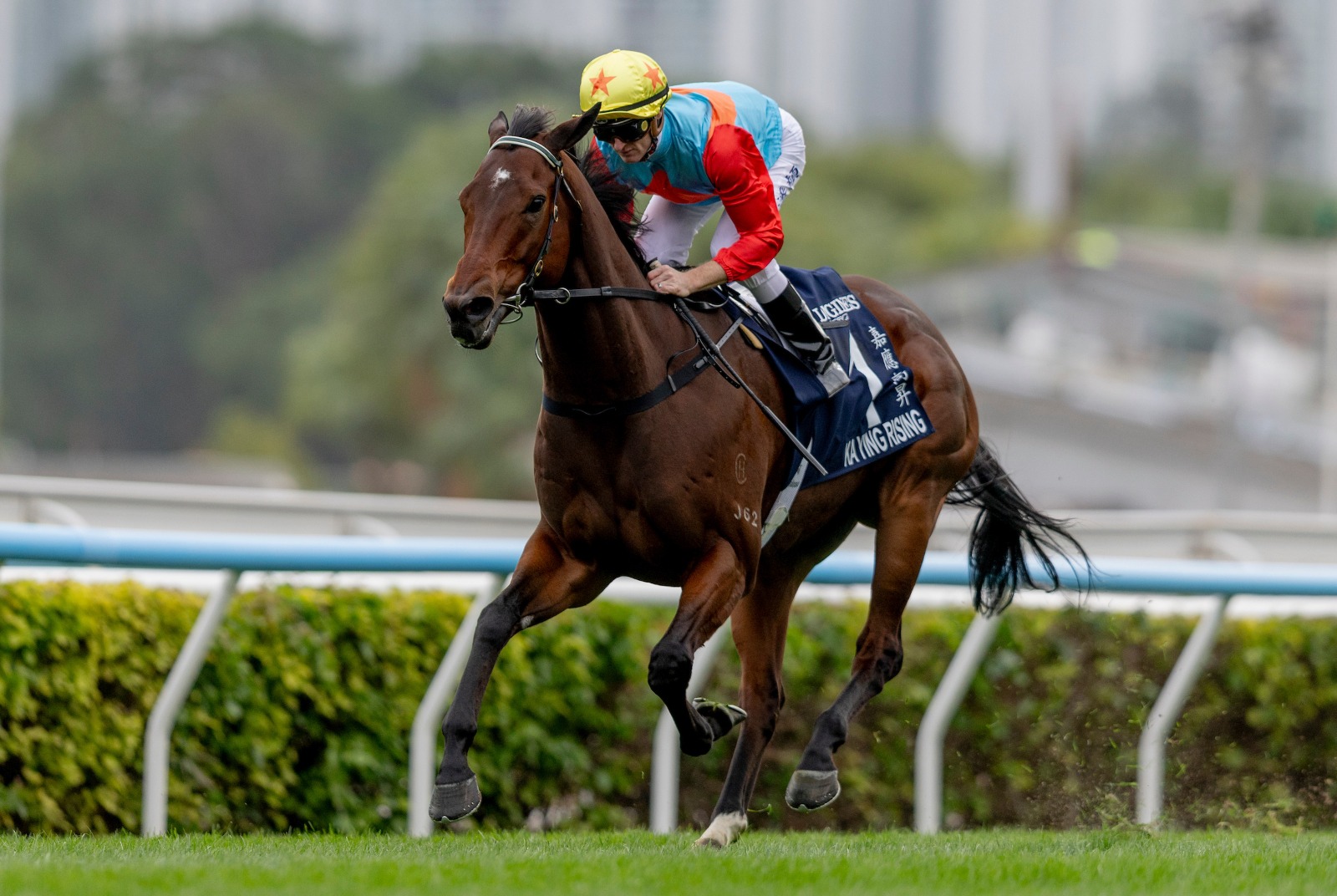 Ka Ying Rising celebrates victory at Sha Tin, Hong Kong