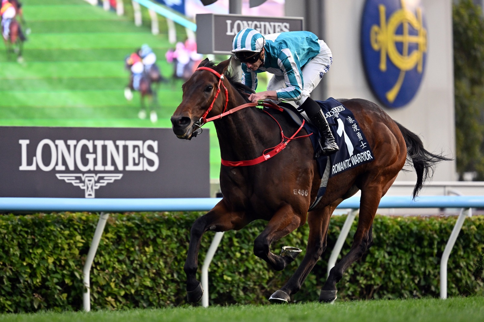 Romantic Warrior galloping at Sha Tin ahead of the Stewards’ Cup