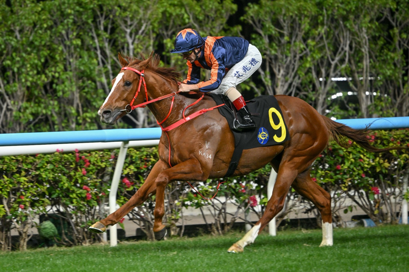Amazing Kid surges late to win at Happy Valley
