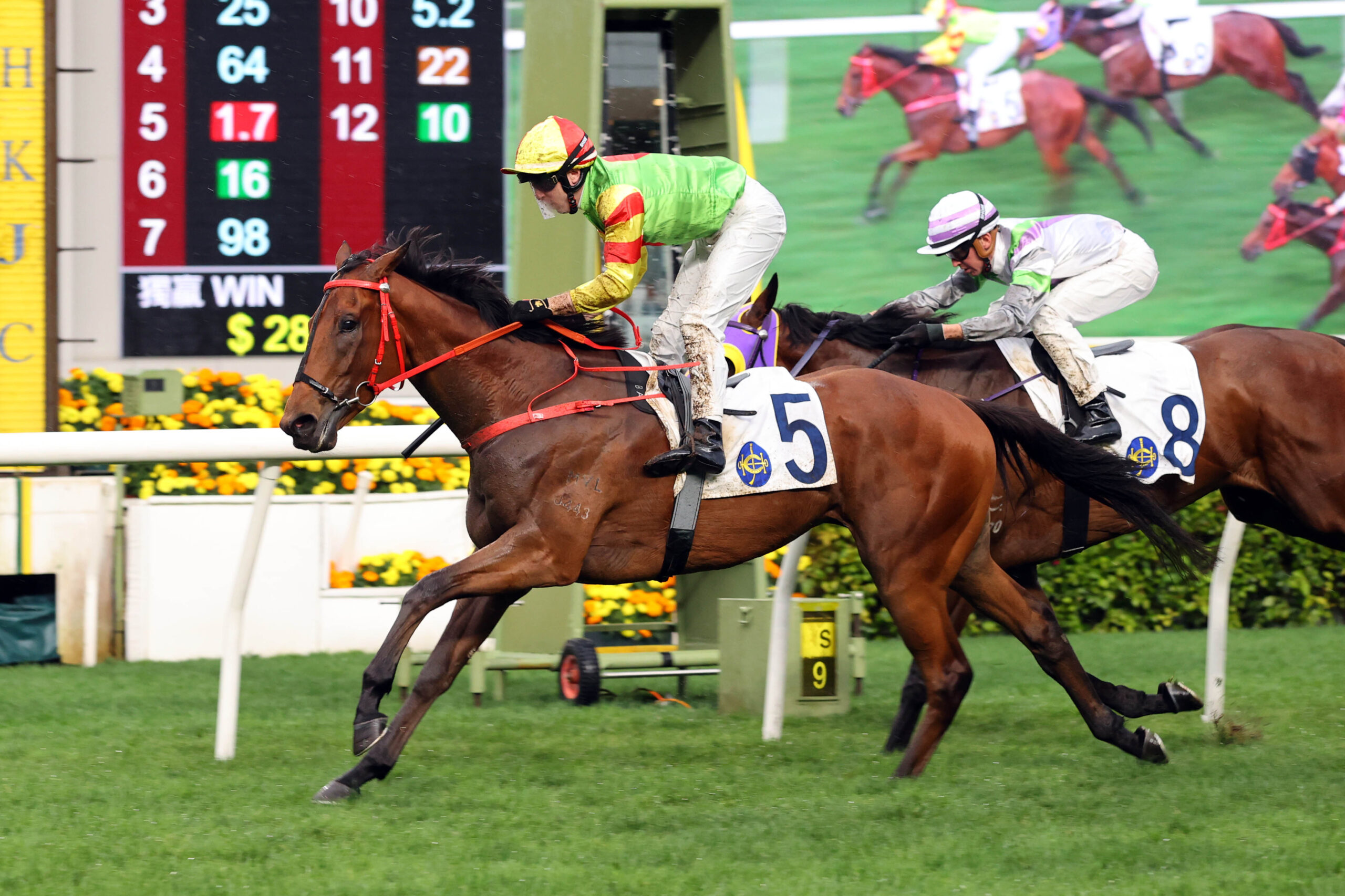 John Size prepares runners at Sha Tin Racecards 18 January