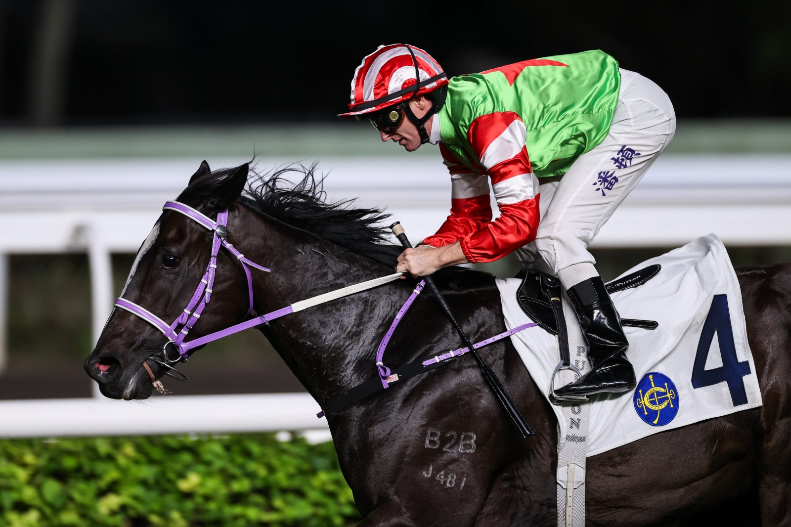 Sha Tin racecards 4 January preview at Sha Tin Racecourse