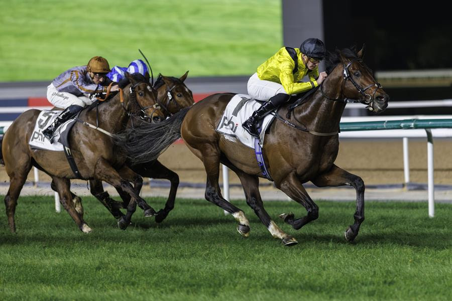 Meydan race result 2 Janaury Zabeel Mile winner Quddwah