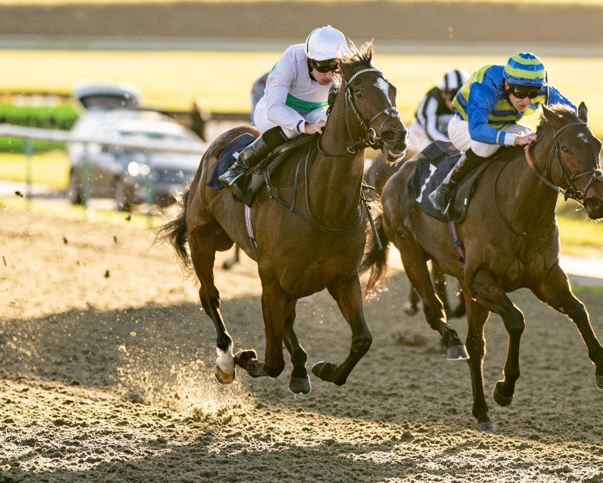 Morrophore ridden by Ryan Moore at Winter Oaks Lingfield Park