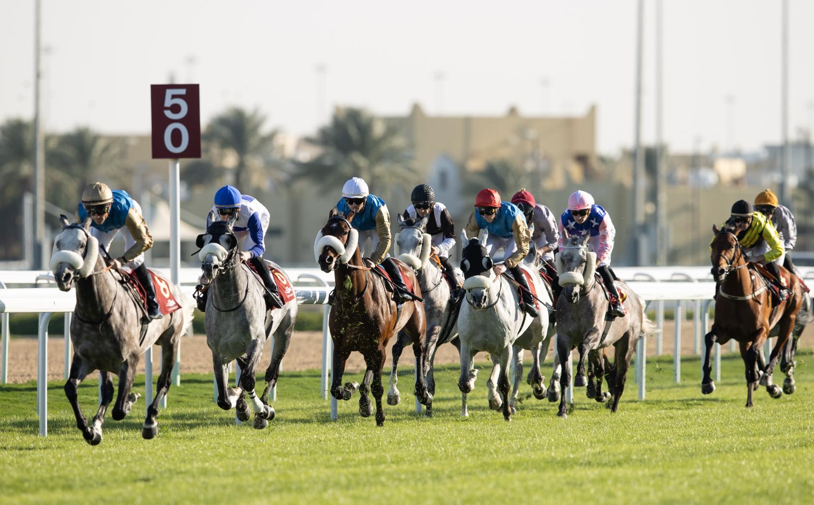 Al Rayyan racecards 15 January featuring Khor Al Adaid Cup at QREC