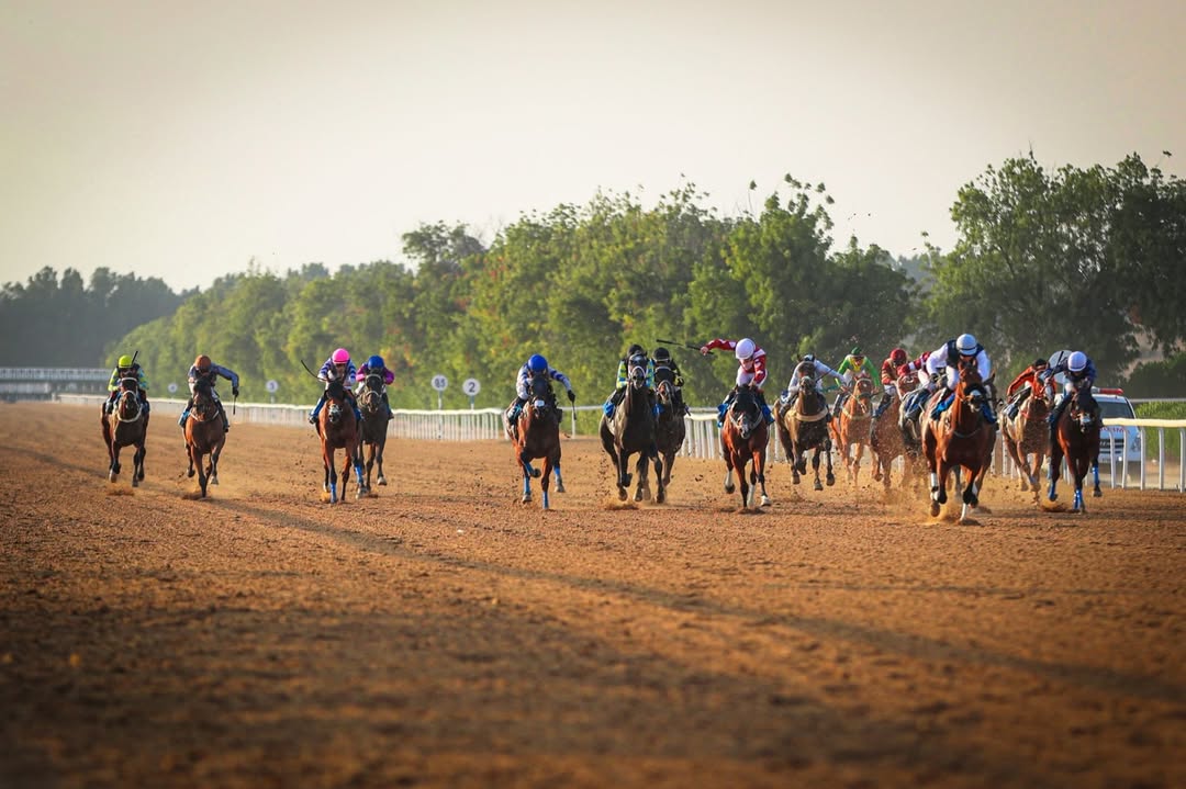 Sharjah 18 Jan race cards at Sharjah Equestrian Racing Club