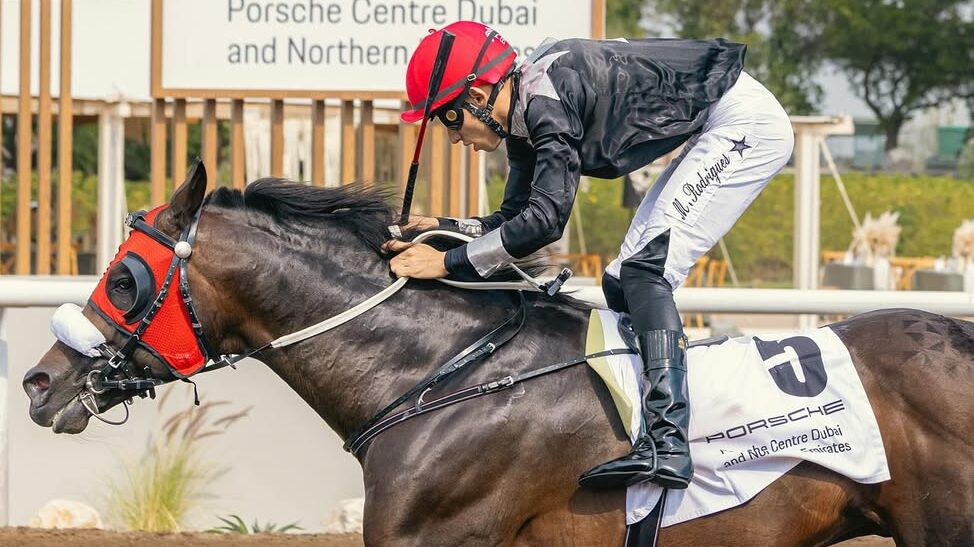 Jebel Ali racecards 17 January Saturday racing preview