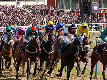 Chancellor competing in the Tandridge Stakes at Southwell