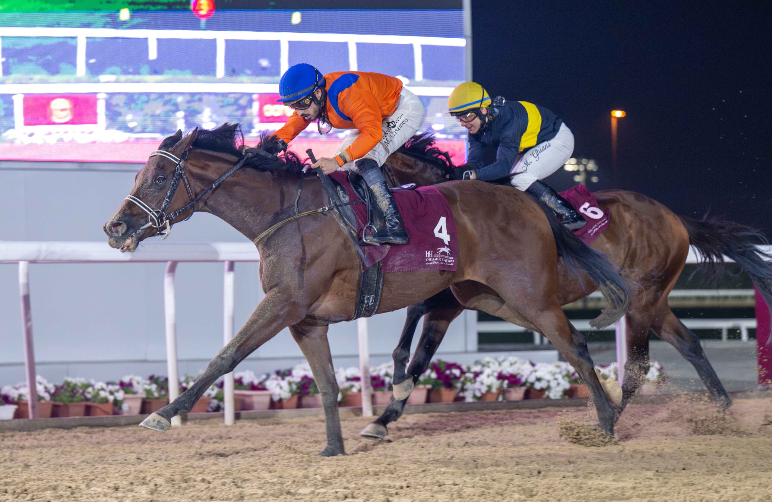 Al Rayyan race cards 18 February feature the Al Jumayliyah Cup at Qatar Racing and Equestrian Club