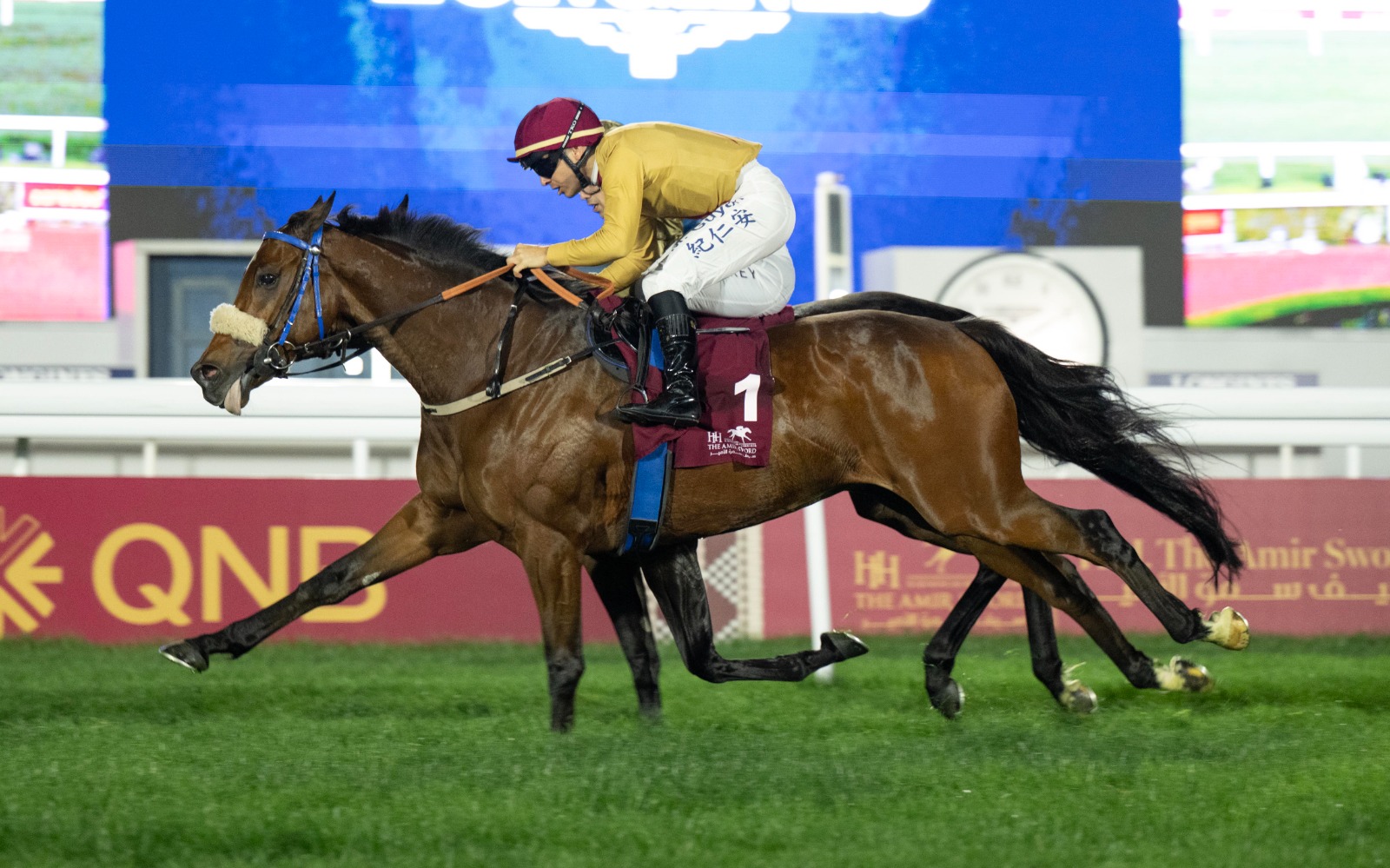 Al Rayyan race cards 19february Loyalty Cup night action