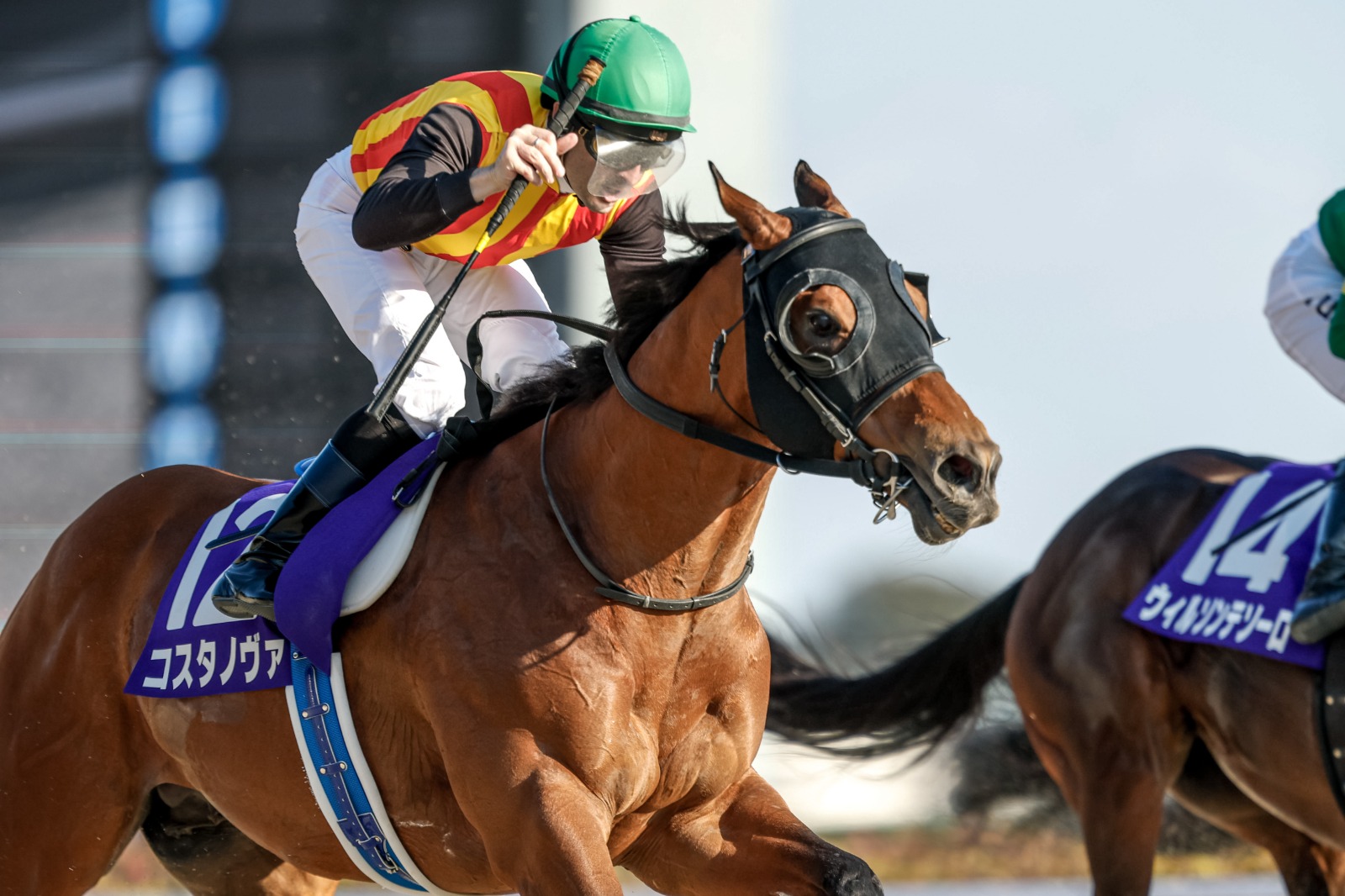 Costa Nova winning the February Stakes at Tokyo Racecourse.
