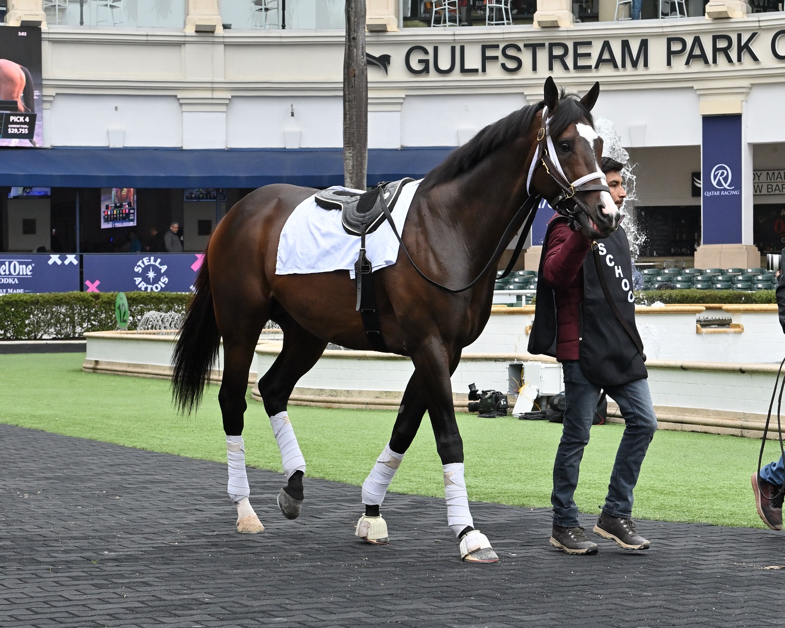 Curlin Florida Derby Sale at Gulfstream Park
