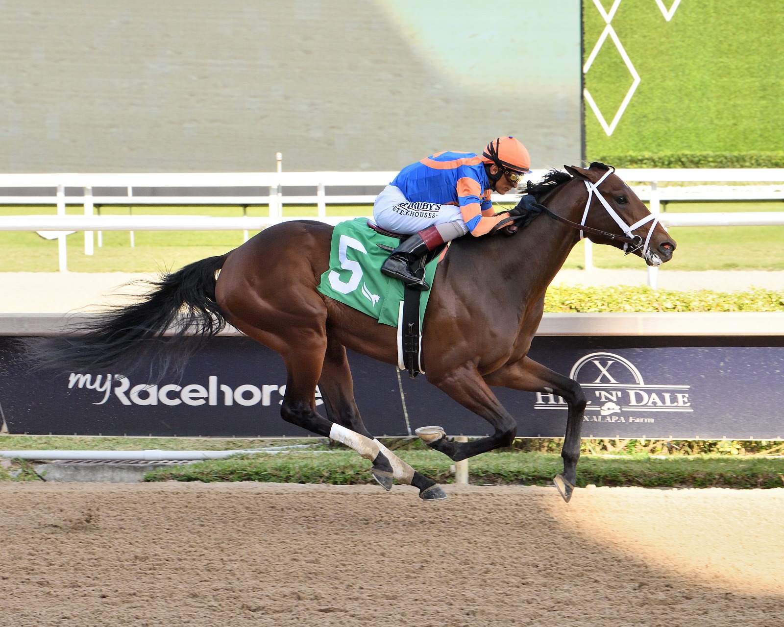 Drexel Hill finishing strongly in graded stakes company ahead of the Royal Delta (G3) at Gulfstream Park