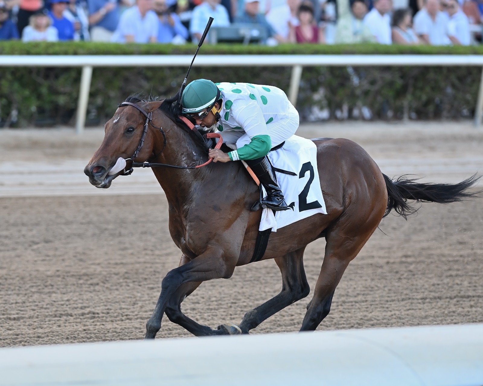 Jack’s Promise winning the Gulfstream Park Sprint at Gulfstream Park