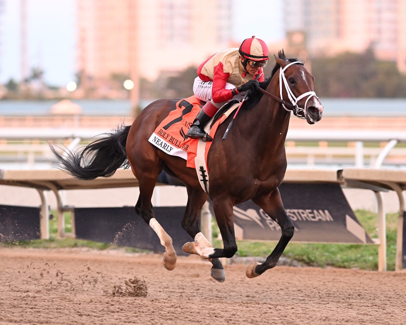 Nearly crossing the finish line in the Holy Bull at Gulfstream Park