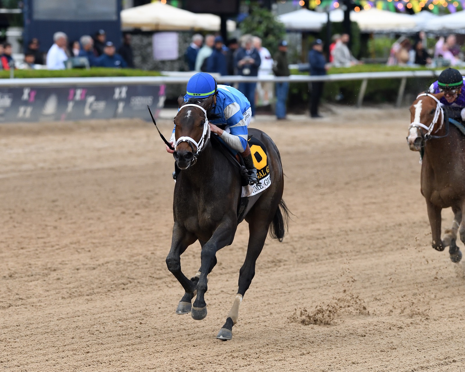 On Time Girl in Davona Dale Stakes 2026 at Gulfstream Park