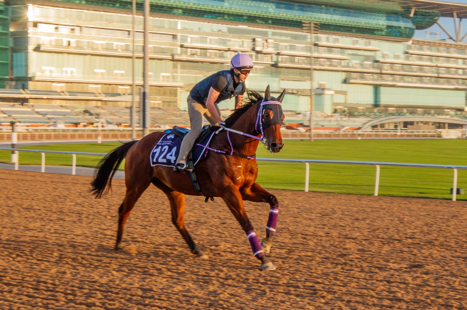 Sing Dragon at Meydan Racecourse, preparing for G3 Mahab Al Shimaal