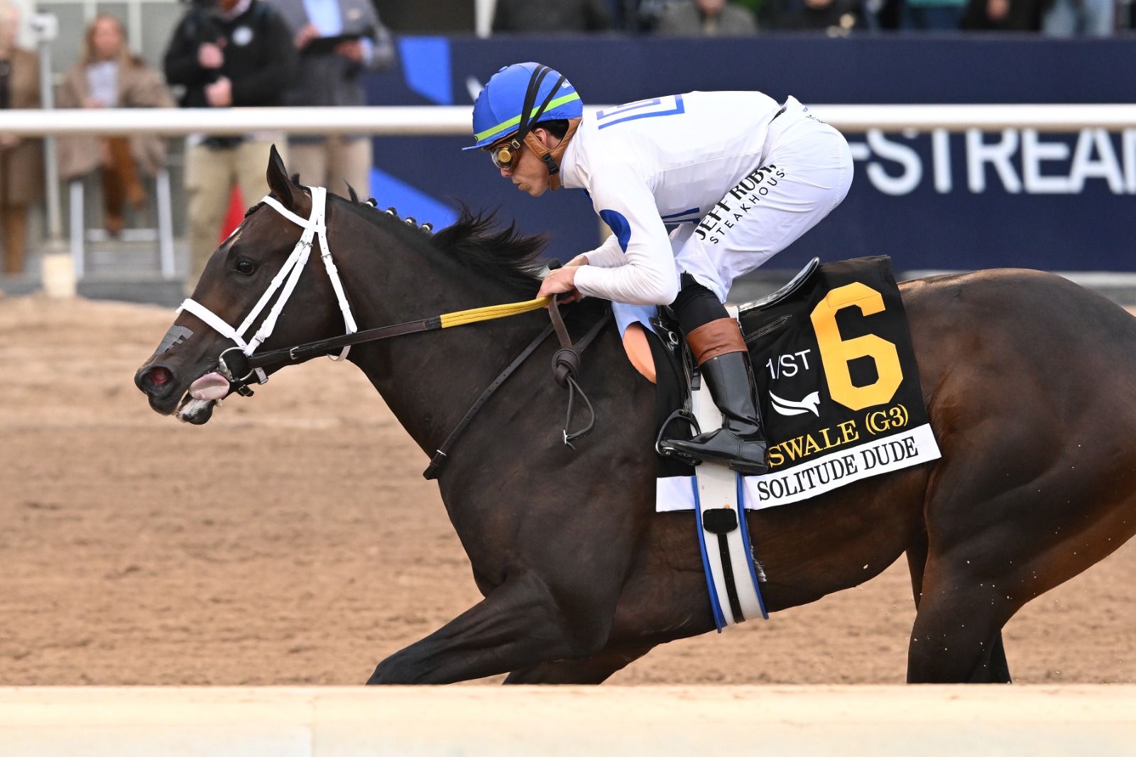 Nearly powering clear to win the Holy Bull Stakes at Gulfstream Park