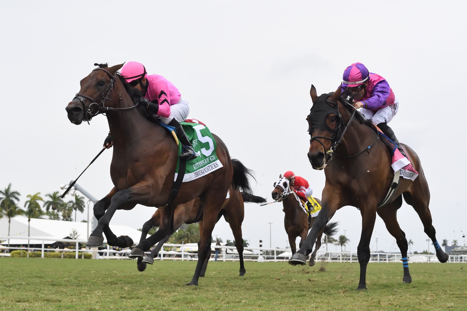 Junior Alvarado riding Spirit of Hope at Gulfstream Park