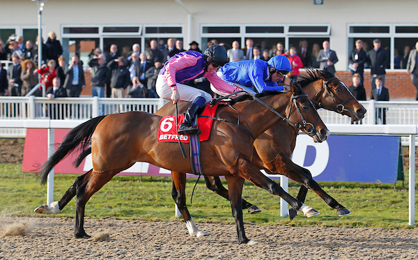 Chelmsford City racecards 12 February feature competitive all-weather racing under floodlights