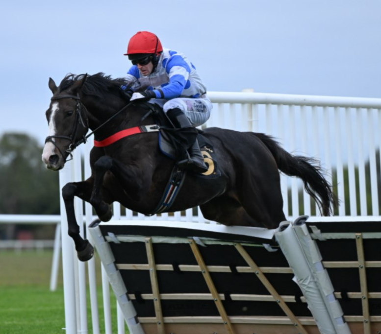 Huntingdon Racecards 19 February National Hunt runners clearing a fence in Cambridgeshire
