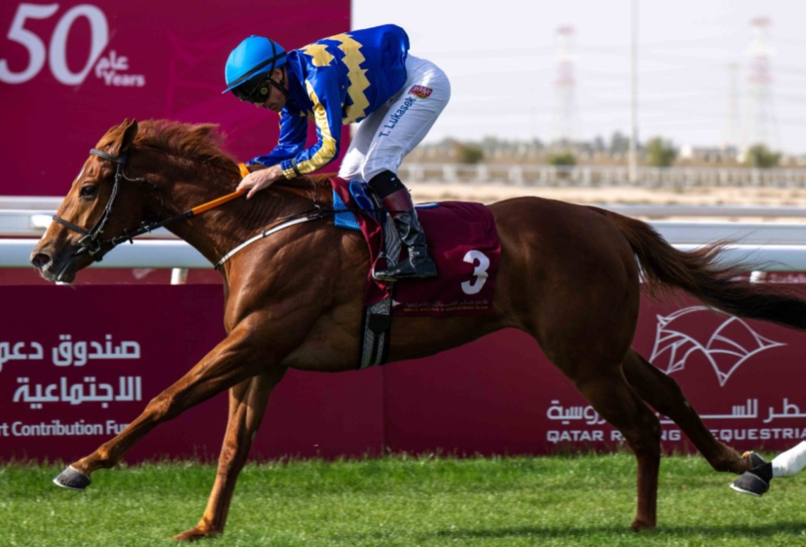 Al Uqda racecards 4 February at Qatar Racing and Equestrian Club