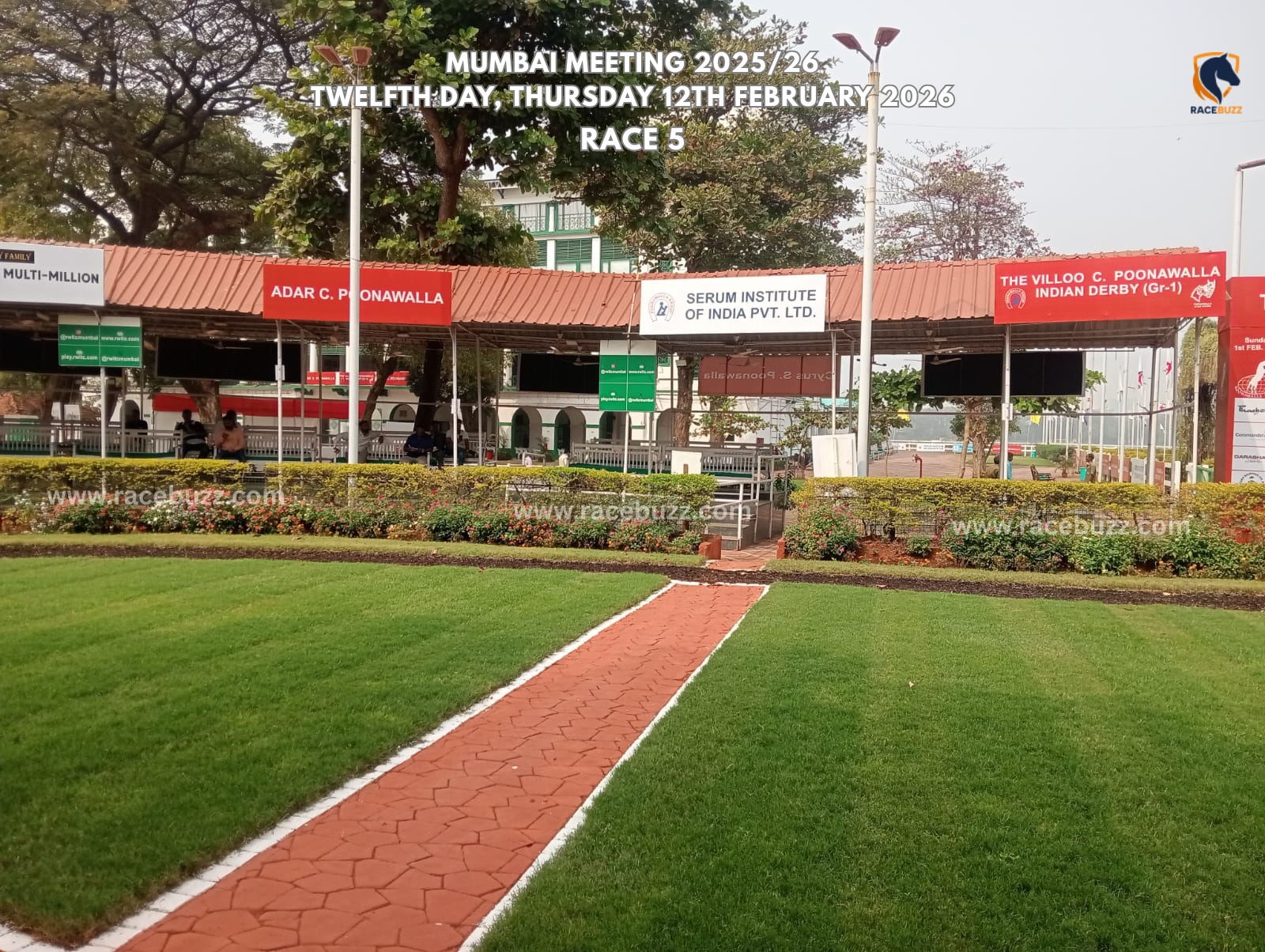 BRIGHT BUTTON winning The W. Buckley Plate – Mumbai race result 12 February