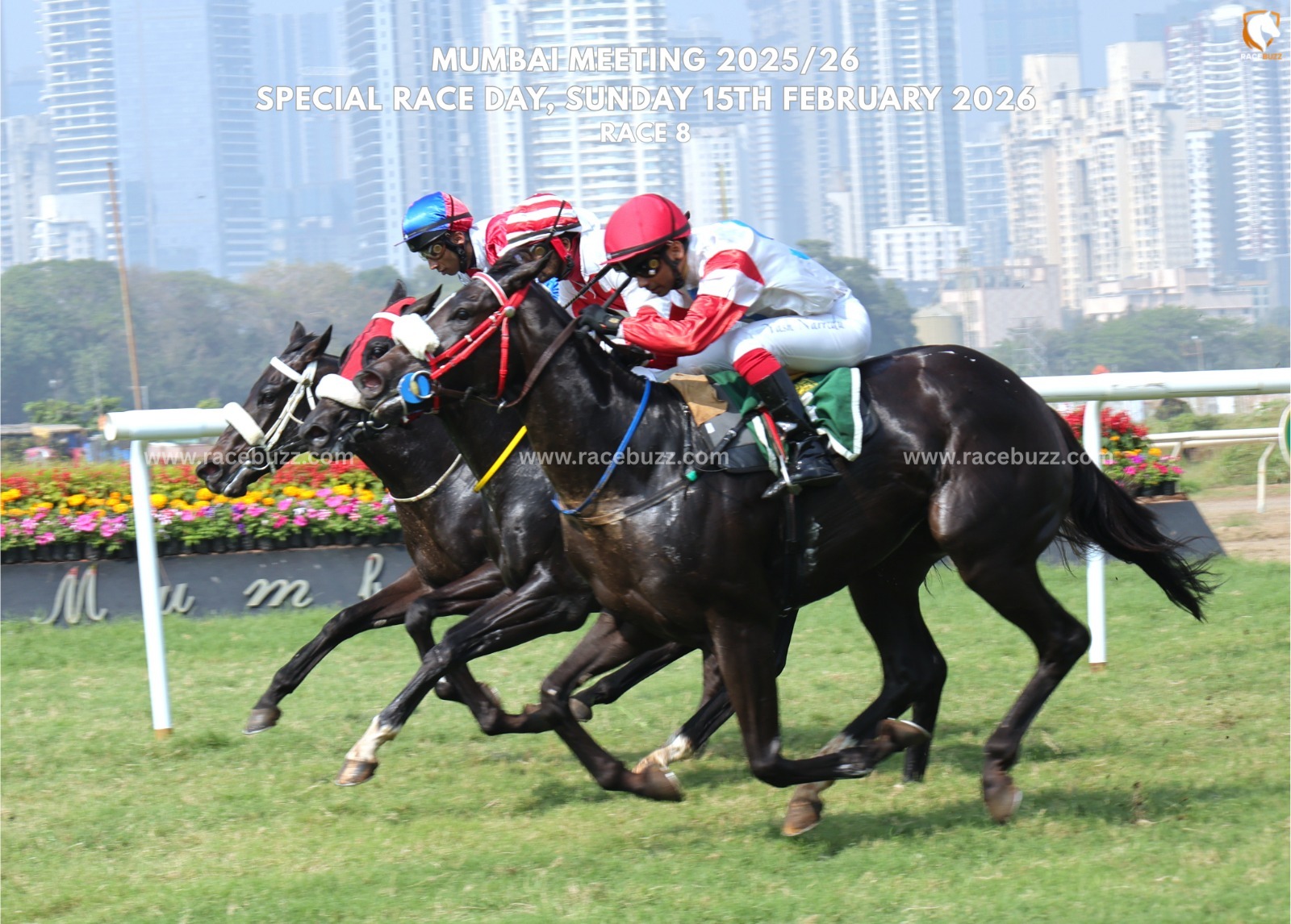 EL MORAN winning The Ahmed I. Rahimtoola Trophy – Mumbai race result 15 February