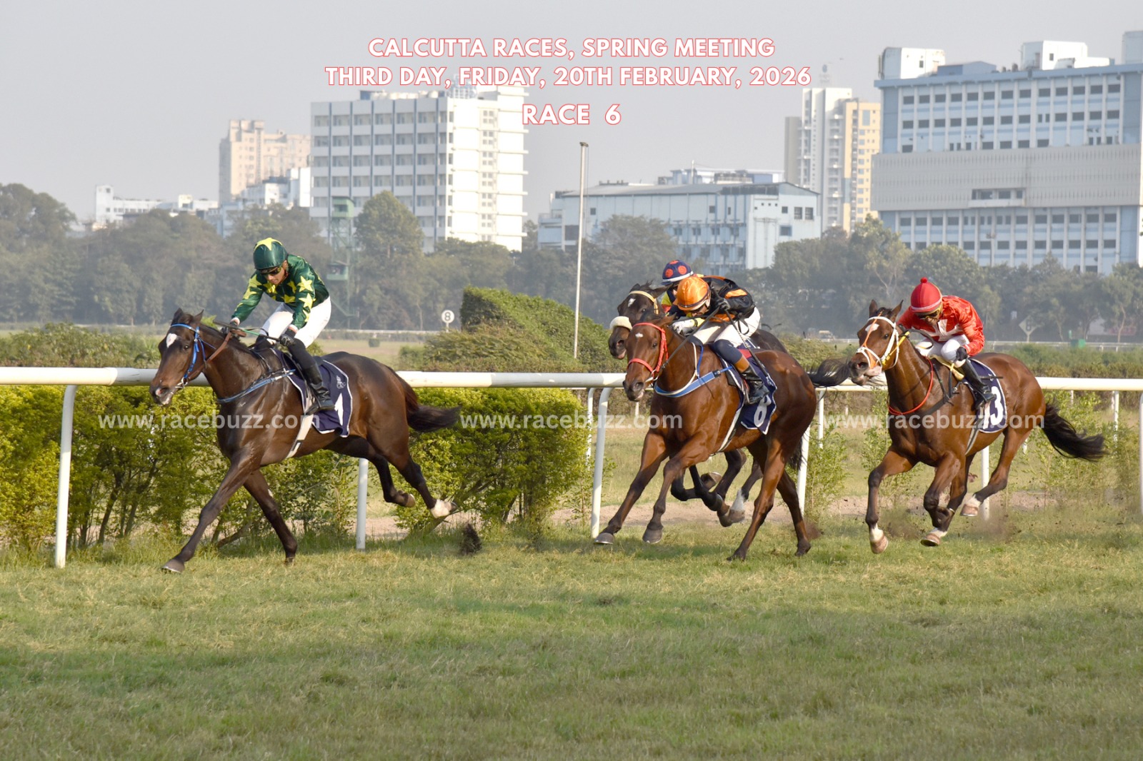 Kolkata race results 20 February featuring Paulite Warrior winning The Captain Courageous Handicap