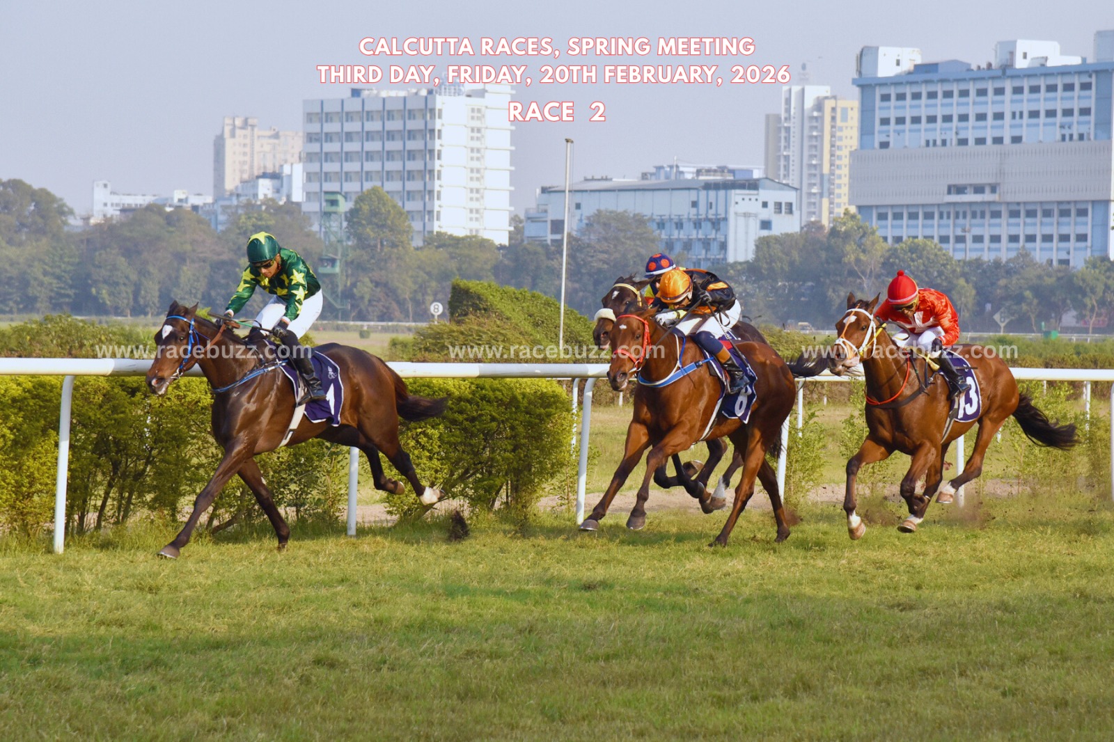 Kolkata race result 20 February – Argento winning THE PA BEAR PLATE