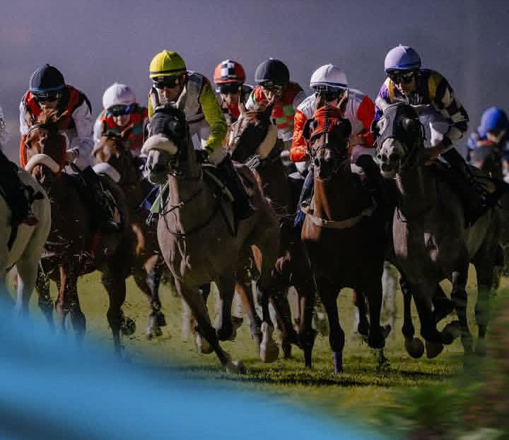 Abu Dhabi racecards 21 february seven races overview