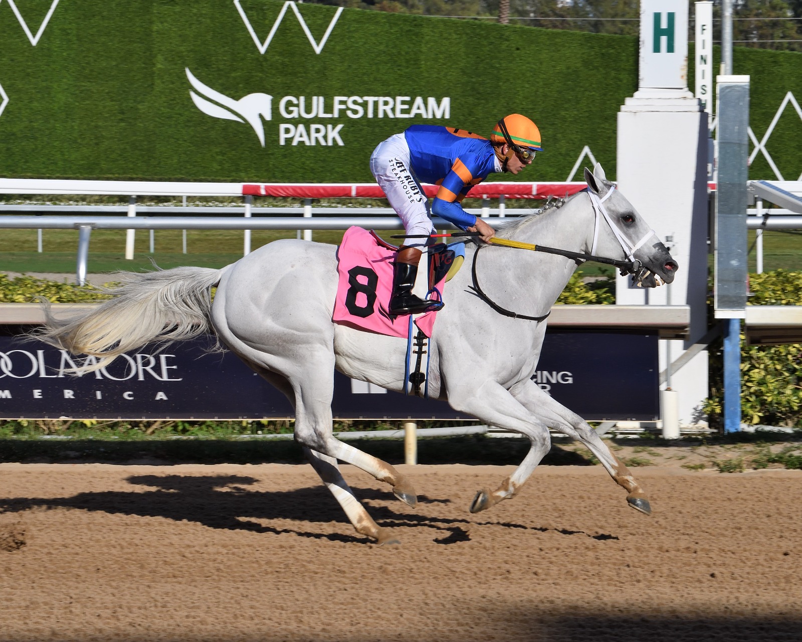 Mish Gulfstream Park feature