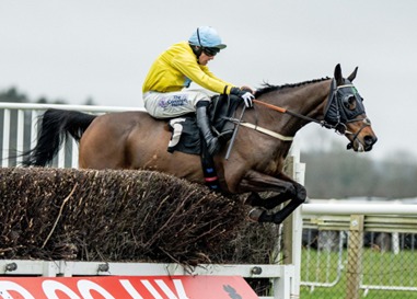 Plumpton Race Results 23 February winners at Plumpton Racecourse