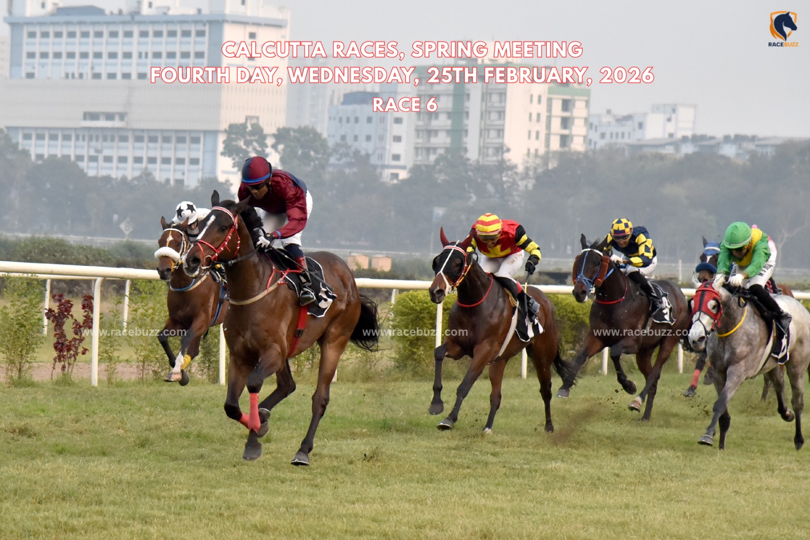 GOLD EMPIRE winning The Calcutta St. Leger – Kolkata race result 25 February