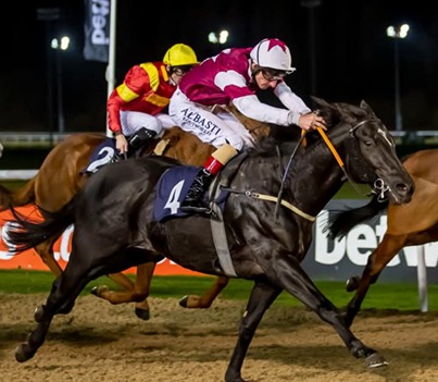 Wolverhampton Race Cards 16 February showing evening racecard, times, distances, and prize money